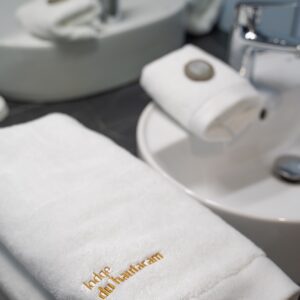 Salle de bain Suite montagne plein sud